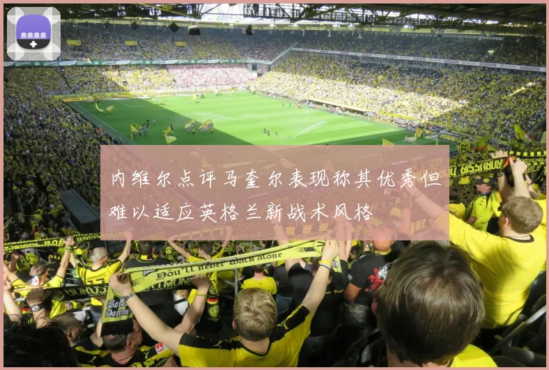 内维尔点评马奎尔表现称其优秀但难以适应英格兰新战术风格