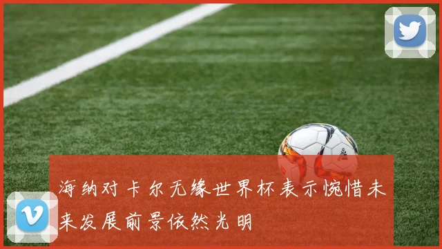 海纳对卡尔无缘世界杯表示惋惜未来发展前景依然光明